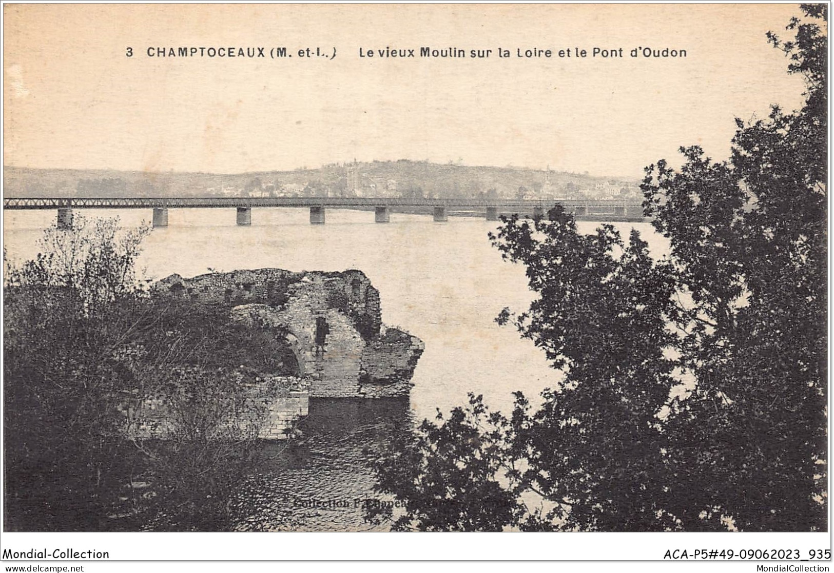 ACAP5-49-0471 - CHAMPTOCEAUX - Le Vieux Moulin Sur La Loire Et  Le Pont D'Oudon - Champtoceaux