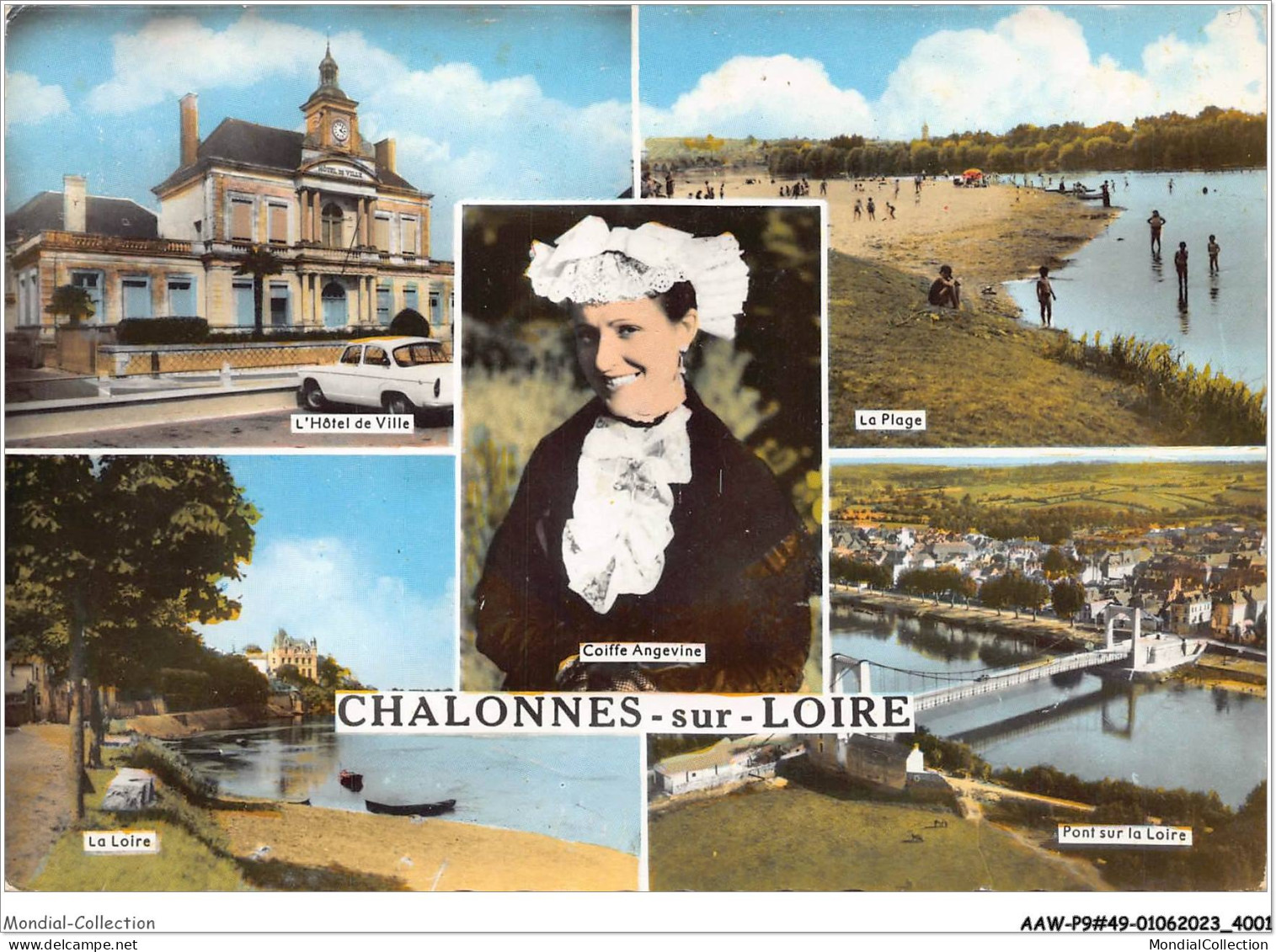 AAWP9-49-0786 - CHALONNES SUR LOIRE  - Chalonnes Sur Loire