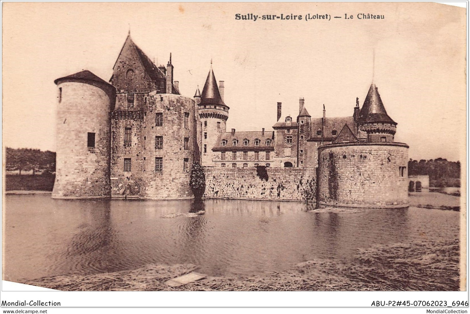 ABUP2-45-0109  -  SULLY-SUR-LOIRE - Le Chateau  - Sully Sur Loire
