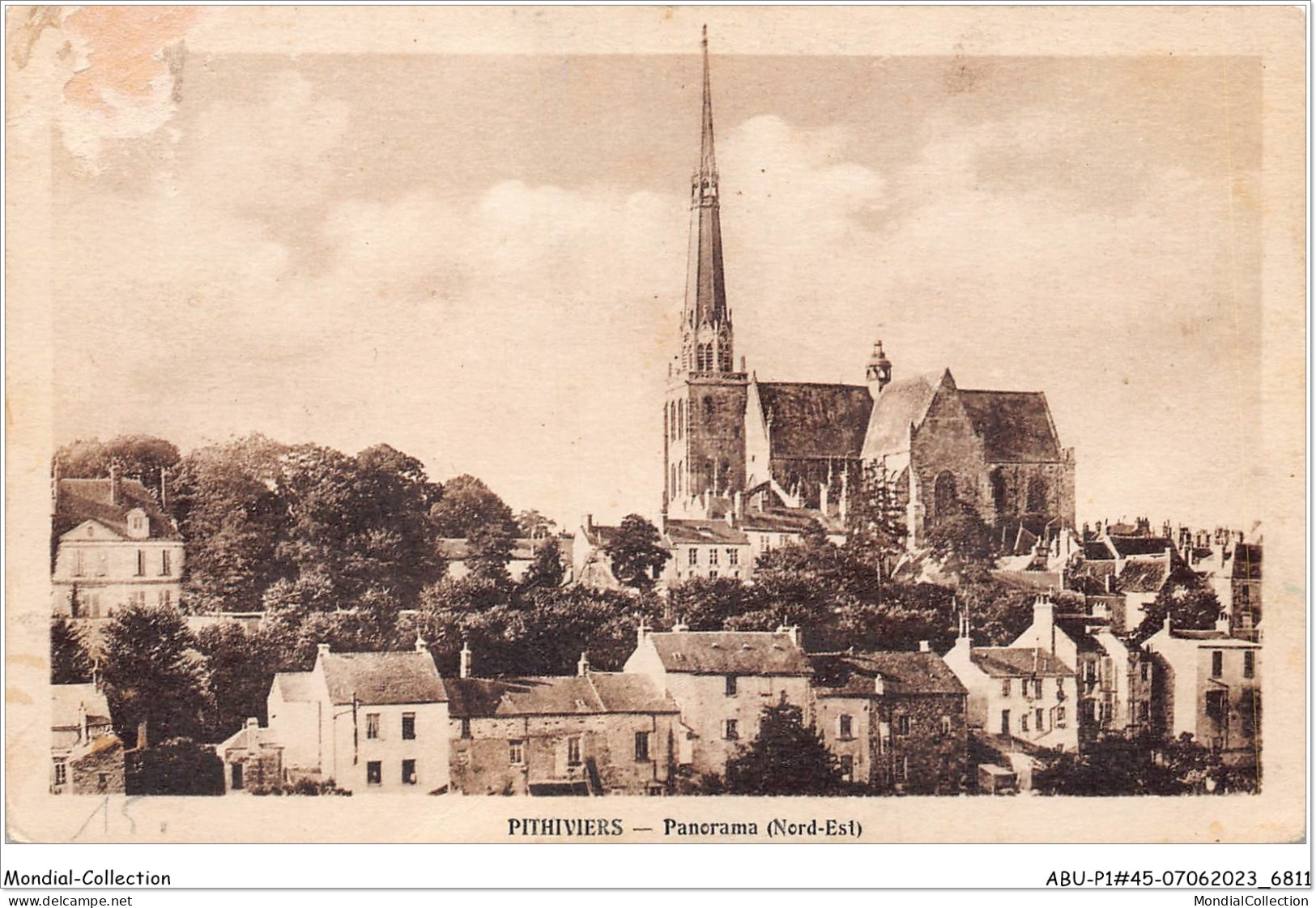 ABUP1-45-0041  -  PITHIVIERS - Panorama Nord Est  - Pithiviers