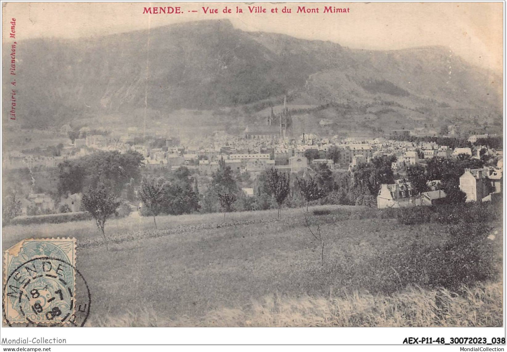 AEXP11-48-1022 - MENDE - Vue De La Ville Et Du Mont Mimat  - Mende