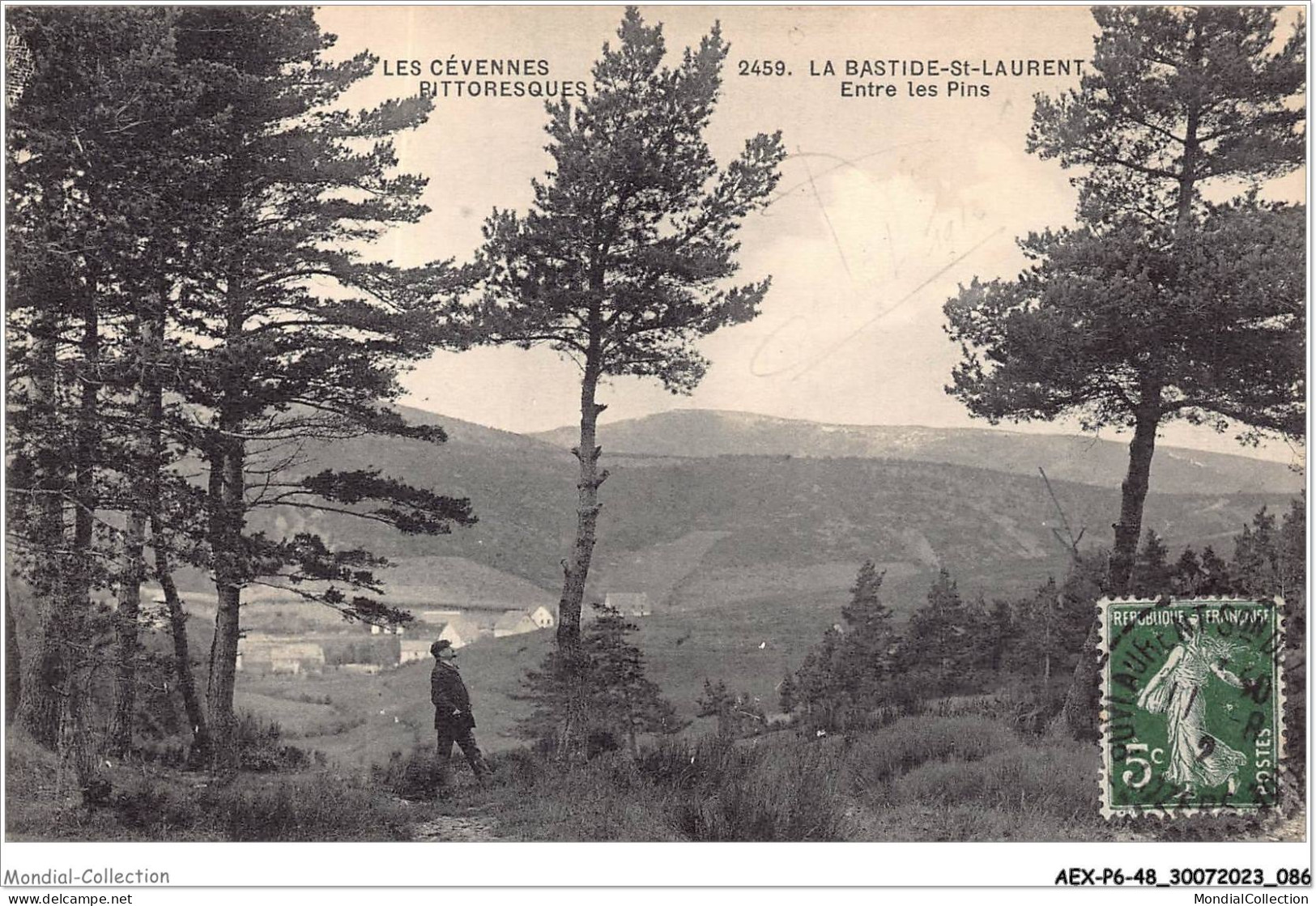 AEXP6-48-0564 - LA BASTIDE-ST-LAURENT - Entre Les Pins  - Mende