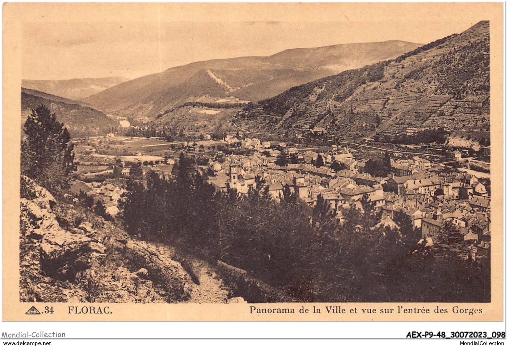 AEXP9-48-0879 - FLORAC - Panorama De Ville Et Vue Sur L'entrée Des Gorges  - Florac