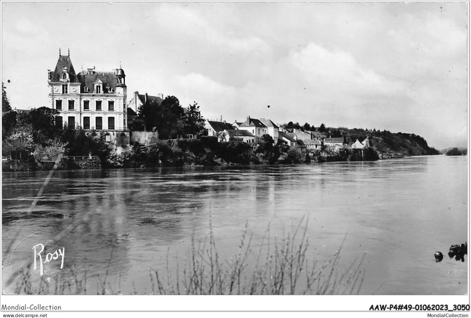 AAWP4-49-0311 - CHALONNES-SUR-LOIRE - Les Terrasses - Chalonnes Sur Loire