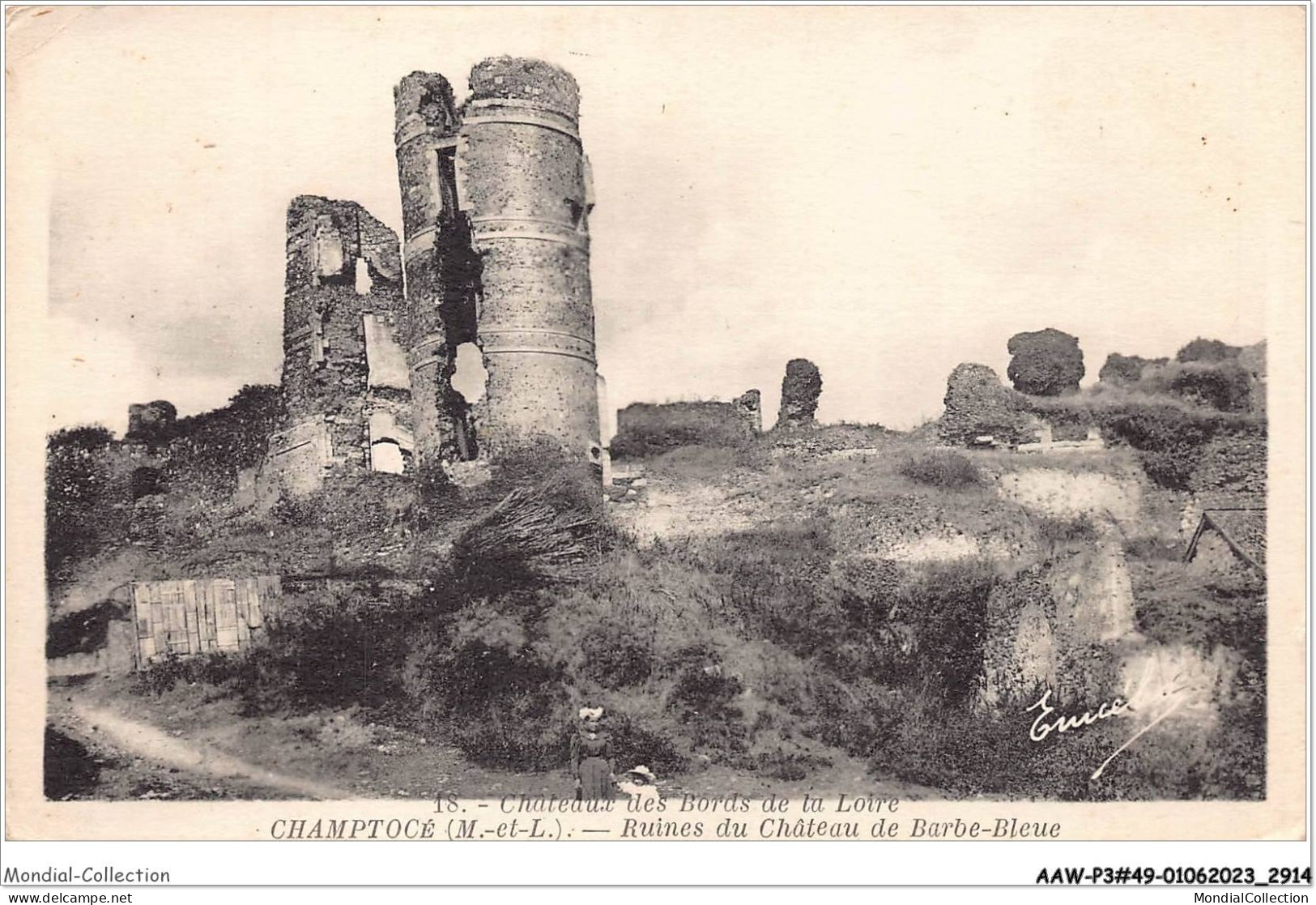 AAWP3-49-0243 - CHAMPTOCE - Ruines Du Château De Barbe-Bleue - Champtoceaux