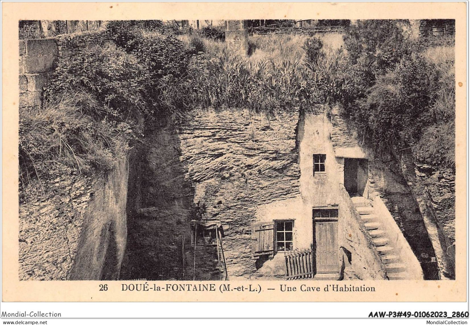 AAWP3-49-0217 - DOUE-LA-FONTAINE - Une Cave D'Habitation - Doue La Fontaine