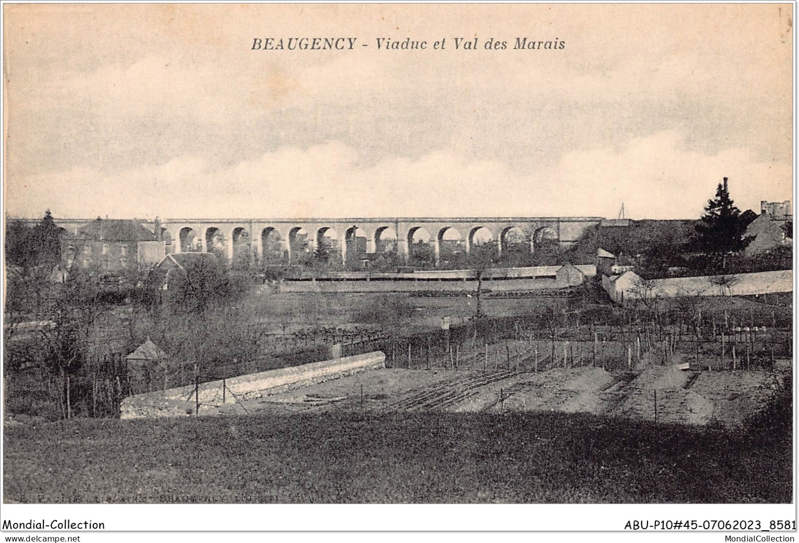 ABUP10-45-0927 - BEAUGENCY - Viaduc Et Val Des Marais - Beaugency