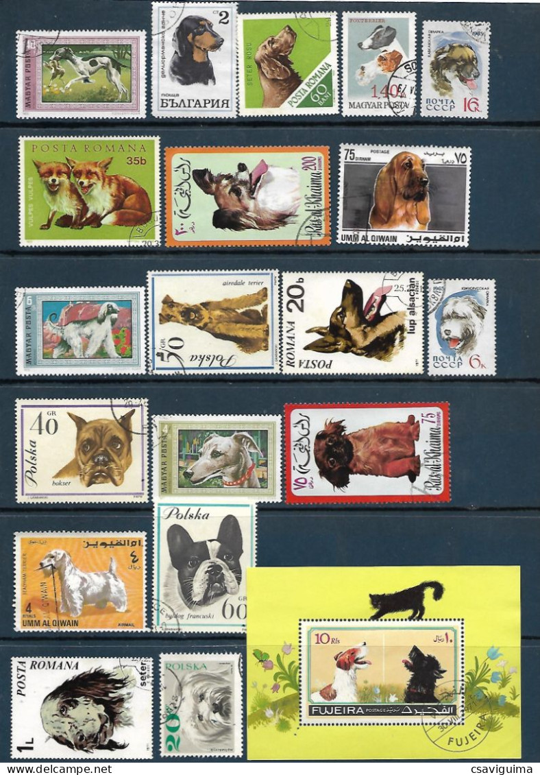 Dogs: Set 20 Stamps, Used, Hinged (#001) - Chiens