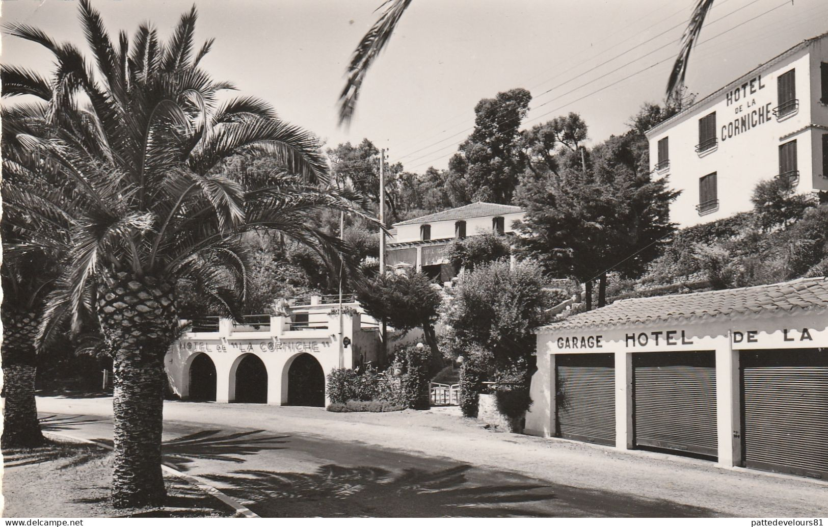 CPSM Dentelée (83) LE RAYOL Hôtel De La Corniche - Rayol-Canadel-sur-Mer