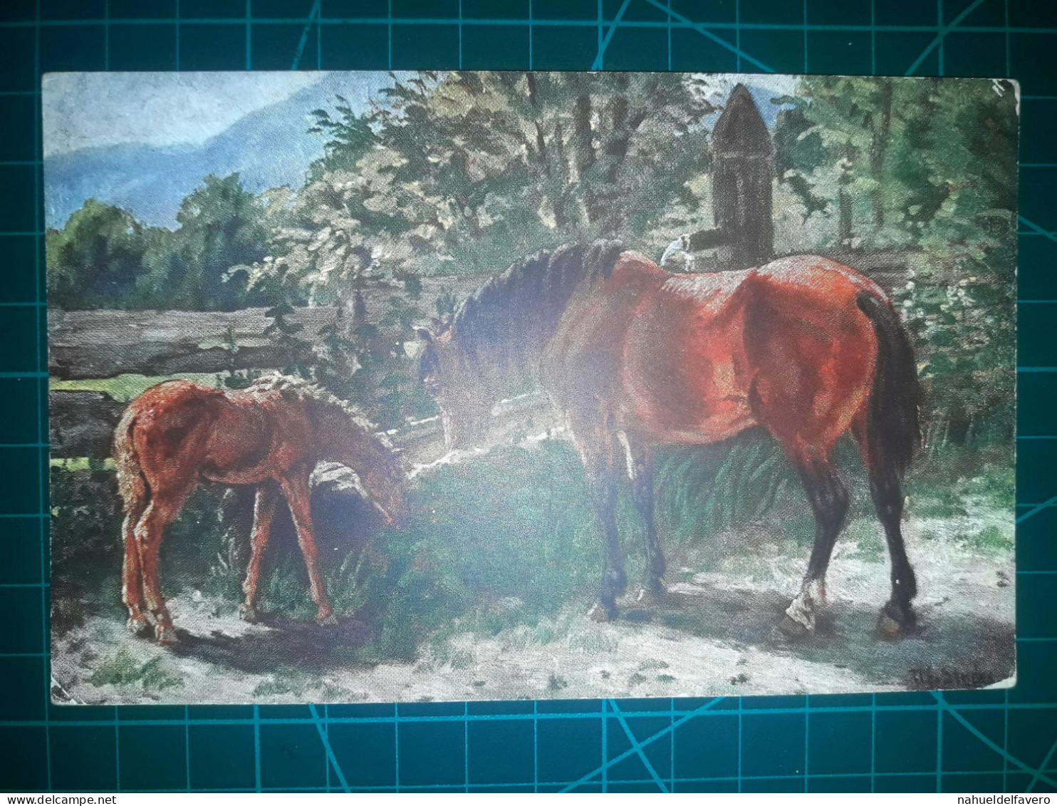 ARGENTINE, Carte Postale De Chevaux Et Autres équidés. De Belles Images De Chevaux Tirant Des Charrettes Ou Des Poussett - Pferde