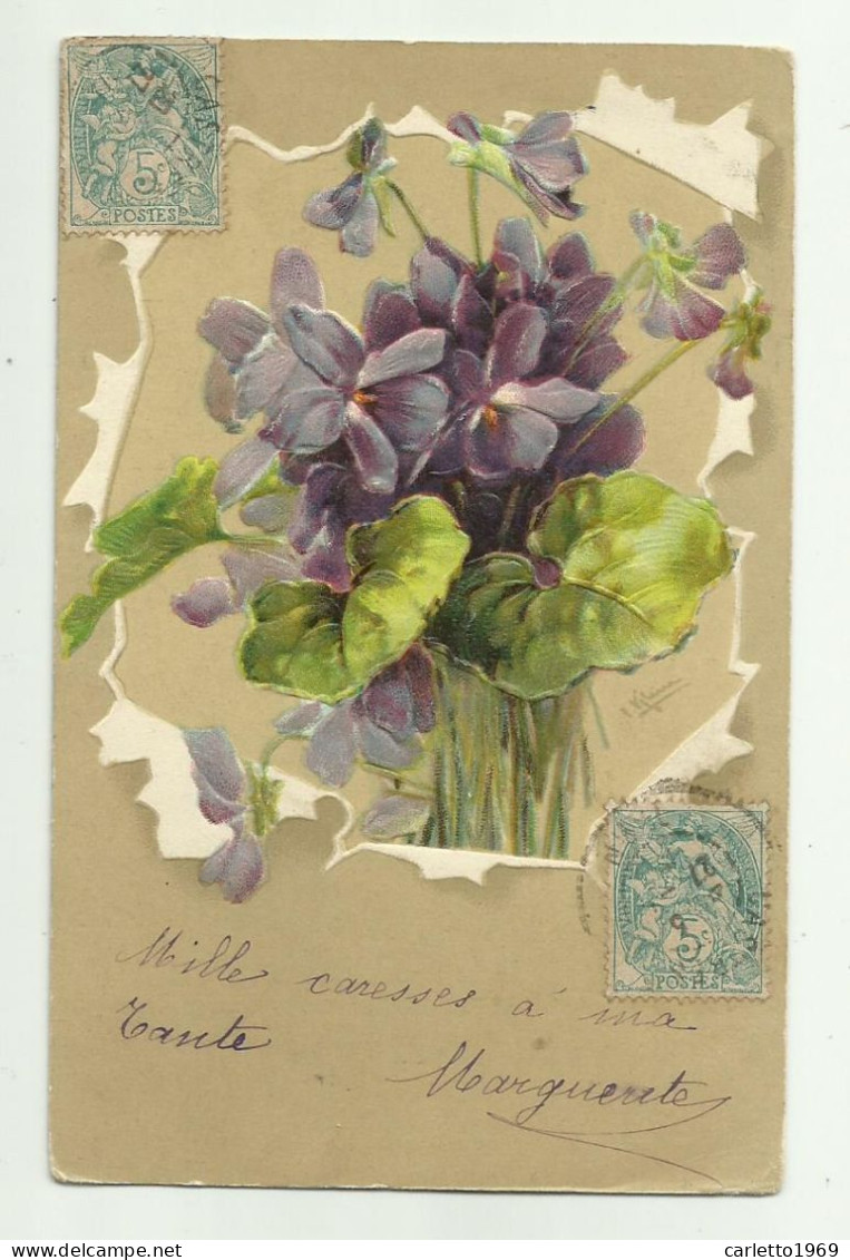 VIOLETTA ILLUSTRATA CATHARINA KLEIN IN RILIEVO 1903  - VIAGGIATA FP - Klein, Catharina