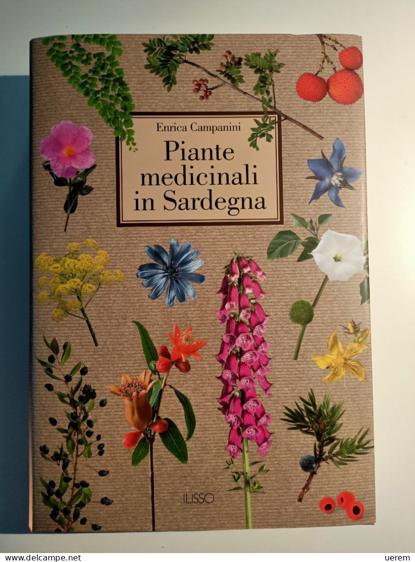 2020 SARDEGNA PIANTE MEDICINALI CAMPANINI CAMPANINI ENRICA PIANTE MEDICINALI IN SARDEGNA Nuoro, Ilisso 2020 - Libri Antichi