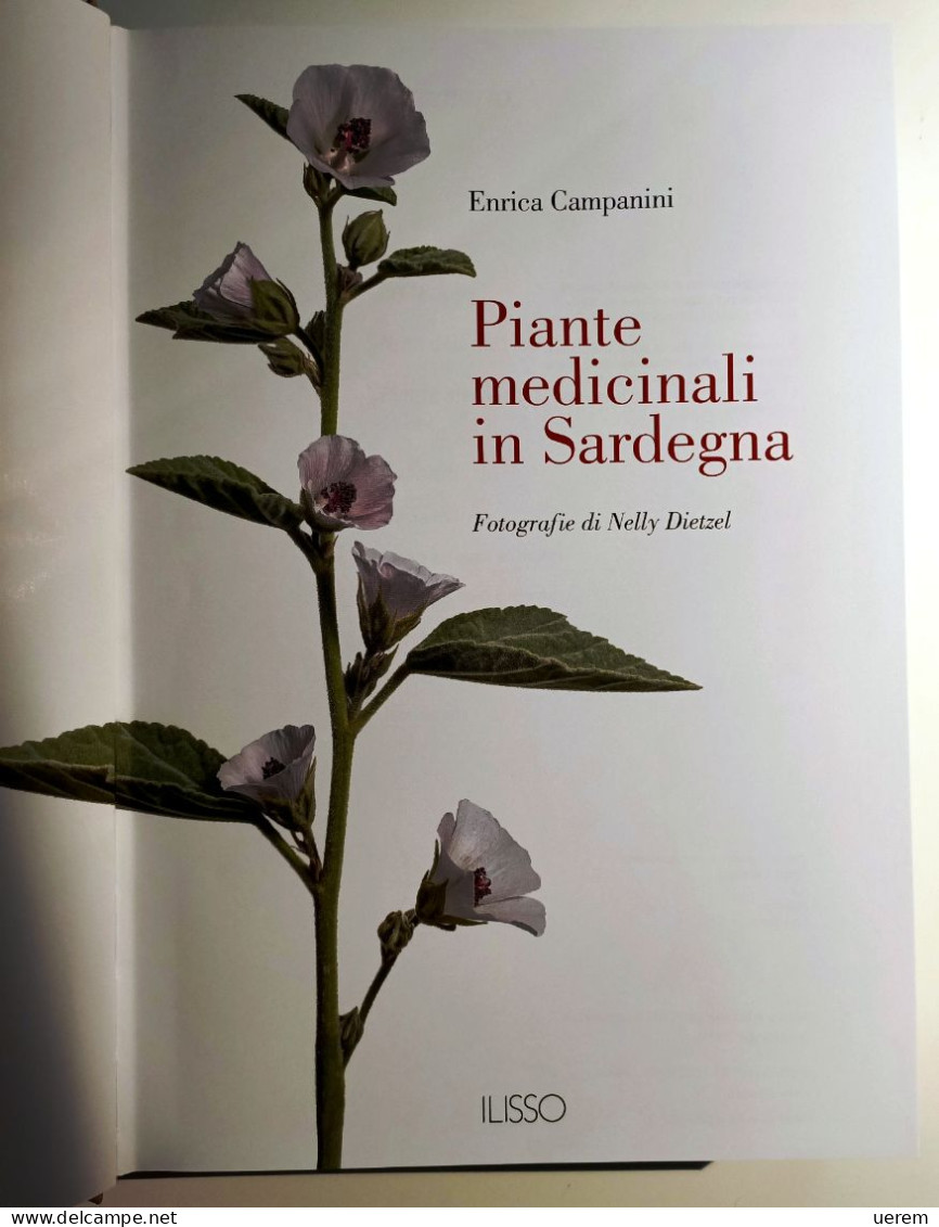 2020 SARDEGNA PIANTE MEDICINALI CAMPANINI CAMPANINI ENRICA PIANTE MEDICINALI IN SARDEGNA Nuoro, Ilisso 2020 - Libros Antiguos Y De Colección