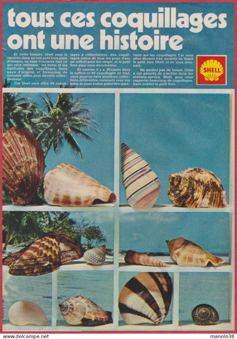 Shell. Collection De Coquillage. Tous Les Coquillages Ont Une Histoire. Compagnie Pétrolière. Essence. 1971. - Publicidad