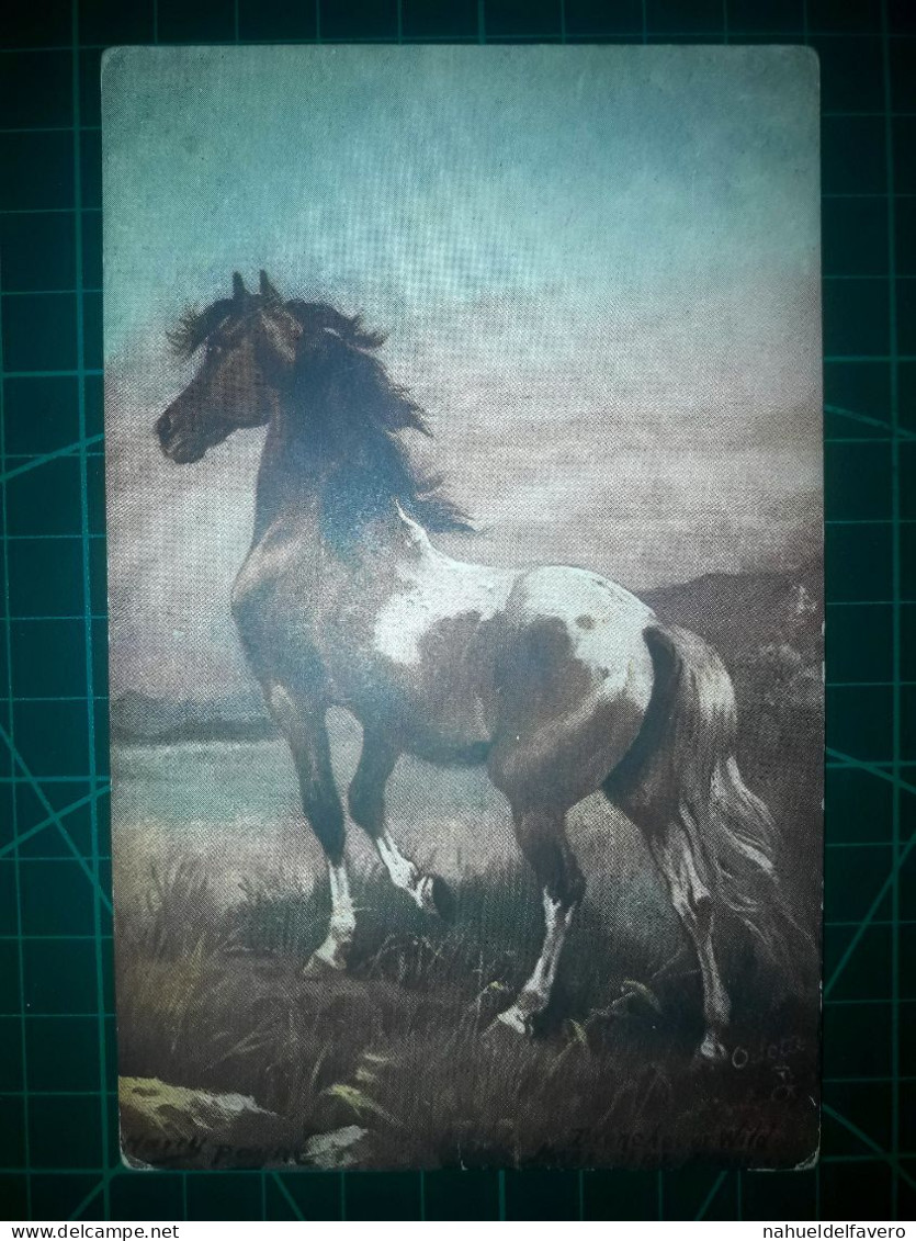 ARGENTINE, Carte Postale De Chevaux Et Autres équidés. De Belles Images De Chevaux Tirant Des Charrettes Ou Des Poussett - Chevaux