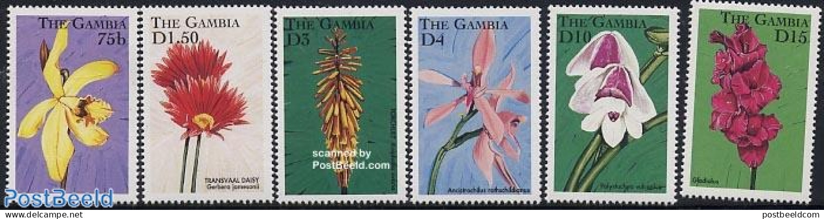 Gambia 1998 Flowers 6v, Mint NH, Nature - Flowers & Plants - Gambia (...-1964)