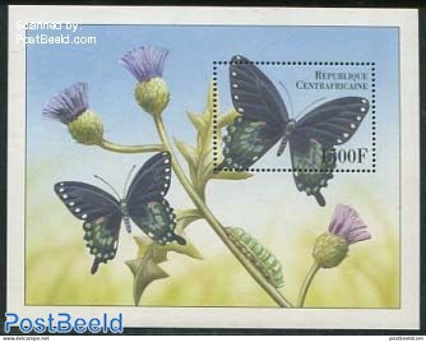 Central Africa 2000 Black/green Butterfly S/s, Mint NH, Nature - Butterflies - Flowers & Plants - Zentralafrik. Republik