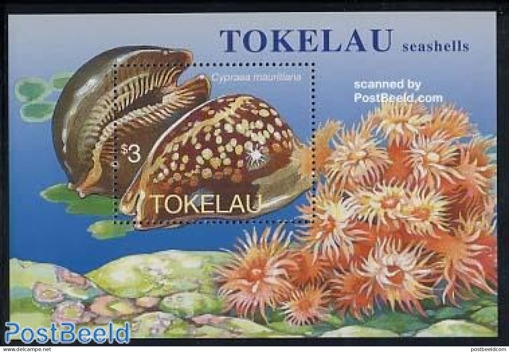 Tokelau Islands 1996 Shells S/s, Mint NH, Nature - Shells & Crustaceans - Marine Life