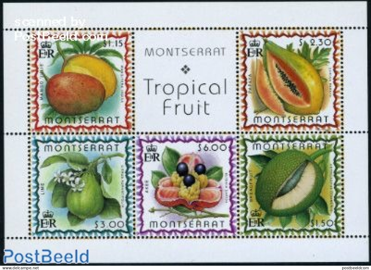 Montserrat 1999 Fruits S/s, Mint NH, Nature - Fruit - Fruits