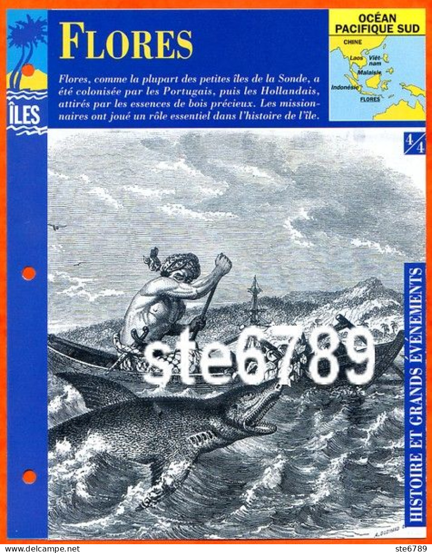 ILE FLORES Indonésie 4/4 Série Iles Océan Pacifique Sud Géographie Histoire Et Grands Evenements Fiche Dépliante - Geographie