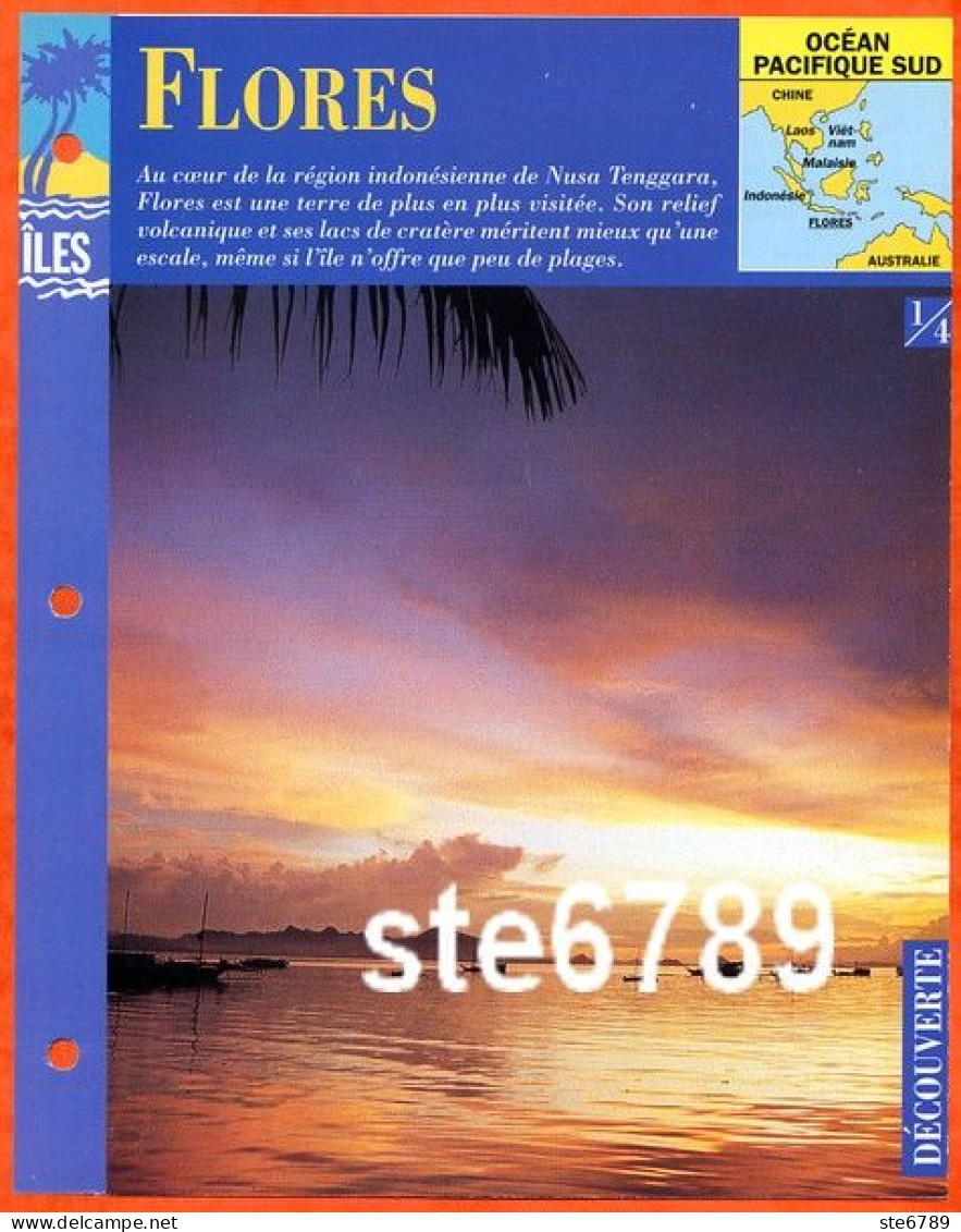 ILE FLORES Indonésie 1/4 Série Iles Océan Pacifique Sud Géographie Découverte Fiche Dépliante - Aardrijkskunde