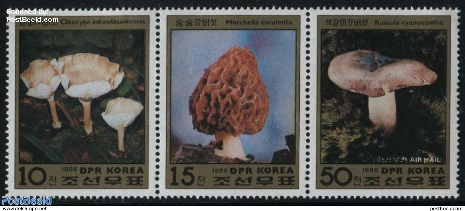 Korea, North 1986 Mushrooms 3v [::], Mint NH, Nature - Mushrooms - Champignons