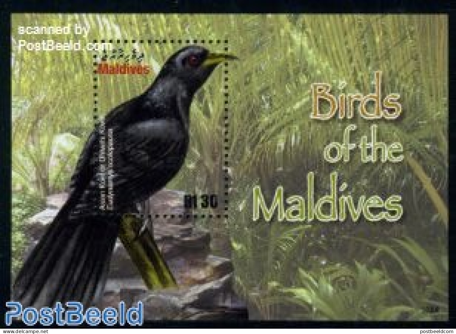 Maldives 2010 Birds Of The Maldives S/s, Mint NH, Nature - Birds - Maldives (1965-...)