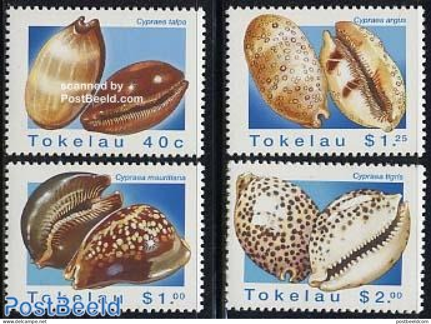 Tokelau Islands 1996 Shells 4v, Mint NH, Nature - Shells & Crustaceans - Marine Life