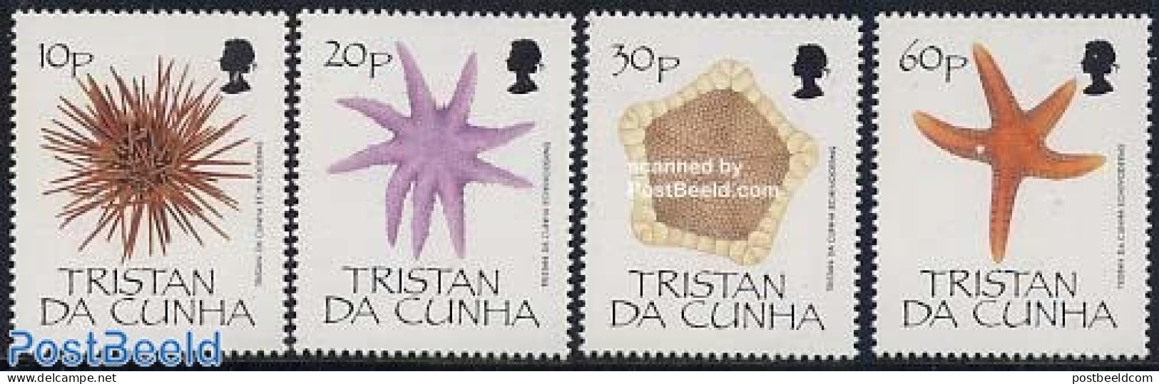 Tristan Da Cunha 1990 Starfish 4v, Mint NH, Nature - Shells & Crustaceans - Marine Life