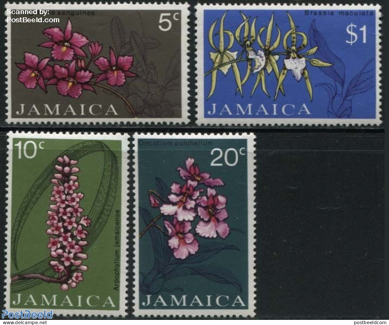 Jamaica 1973 Orchids 4v, Mint NH, Nature - Flowers & Plants - Orchids - Giamaica (1962-...)