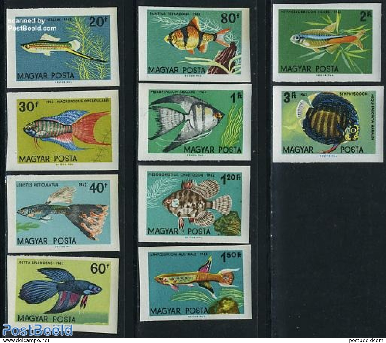 Hungary 1962 Fish 10v Imperforated, Mint NH, Nature - Fish - Unused Stamps