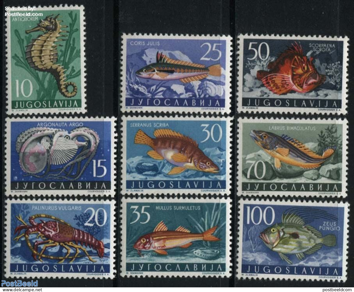 Yugoslavia 1956 Adriatic Sea Animals 9v, Unused (hinged), Nature - Fish - Shells & Crustaceans - Neufs