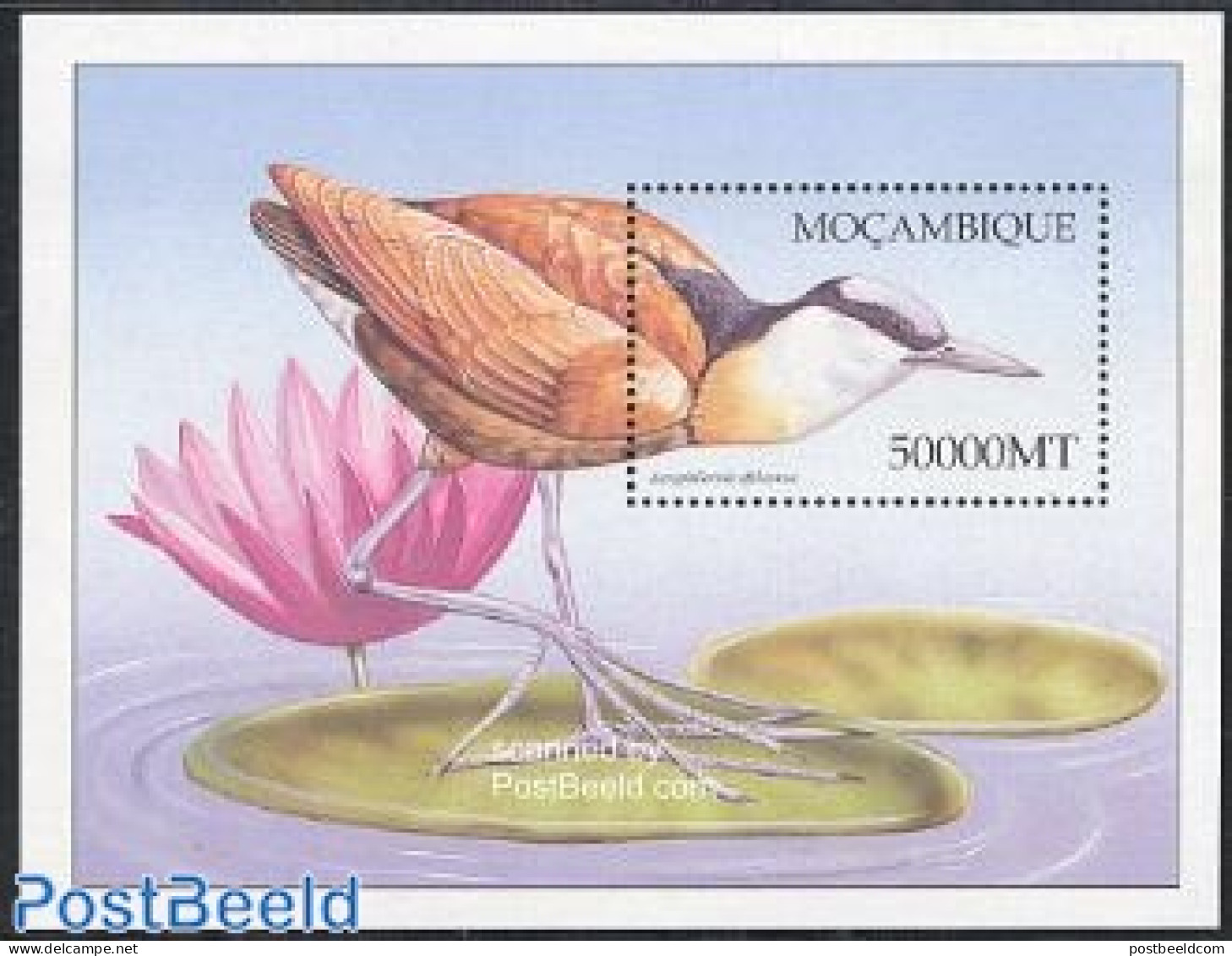 Mozambique 2003 African Birds S/s /Actophilornis Africanus, Mint NH, Nature - Birds - Mozambico