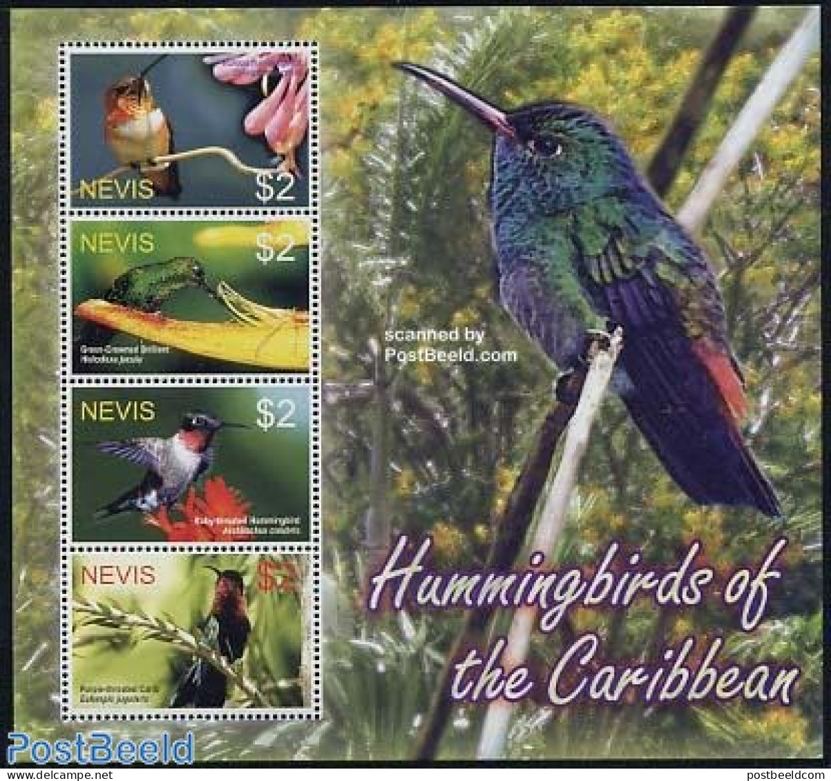 Nevis 2004 Hummingbirds 4v M/s, Mint NH, Nature - Birds - St.Kitts Und Nevis ( 1983-...)