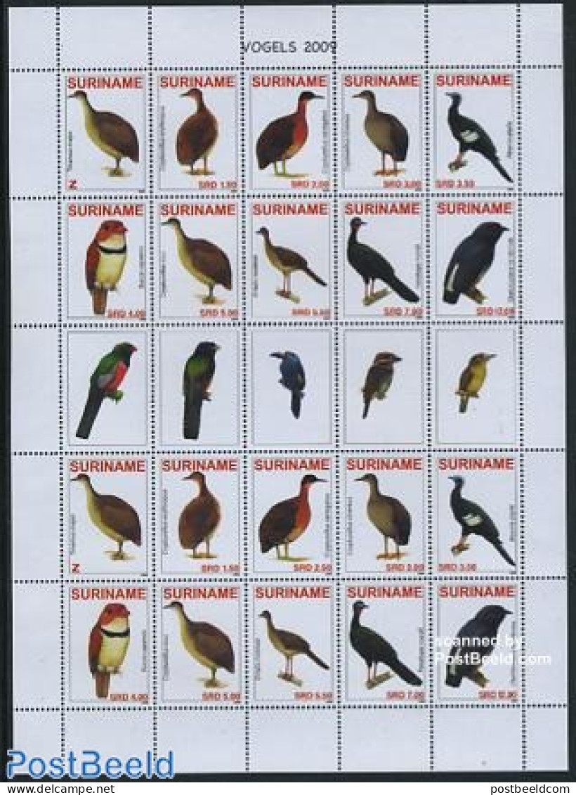 Suriname, Republic 2009 Birds M/s With 2 Sets, Mint NH, Nature - Birds - Suriname