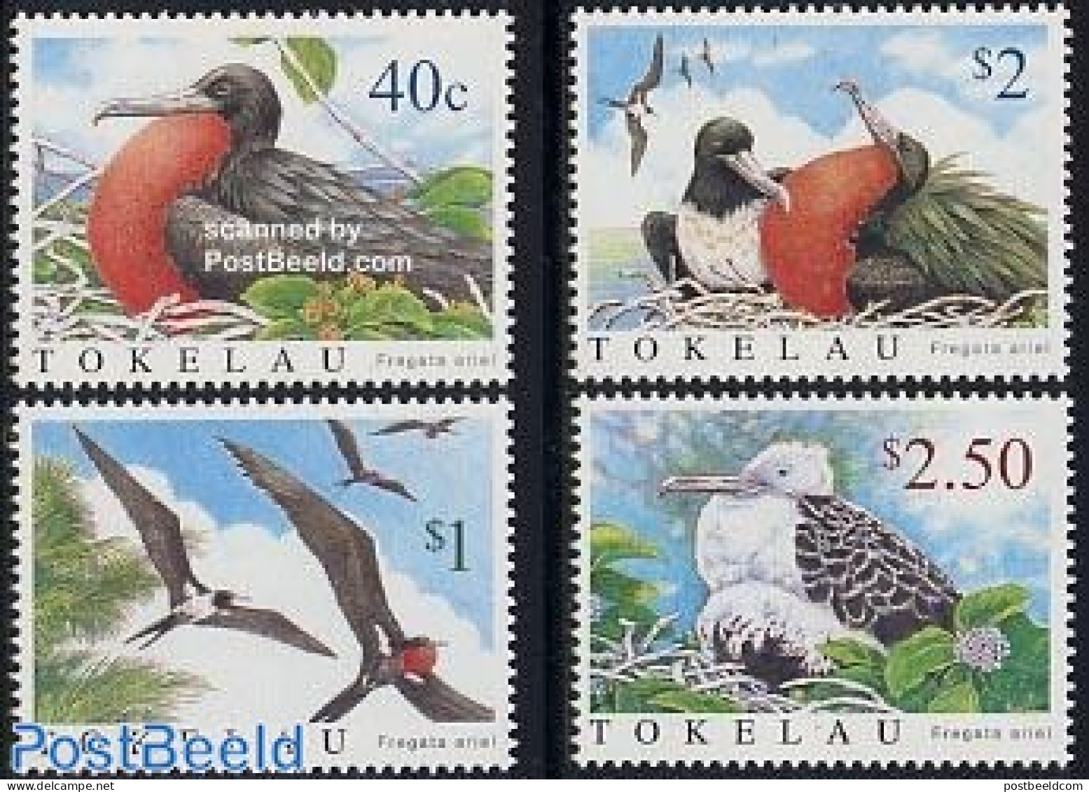 Tokelau Islands 2004 Fregat Birds 4v, Mint NH, Nature - Birds - Tokelau