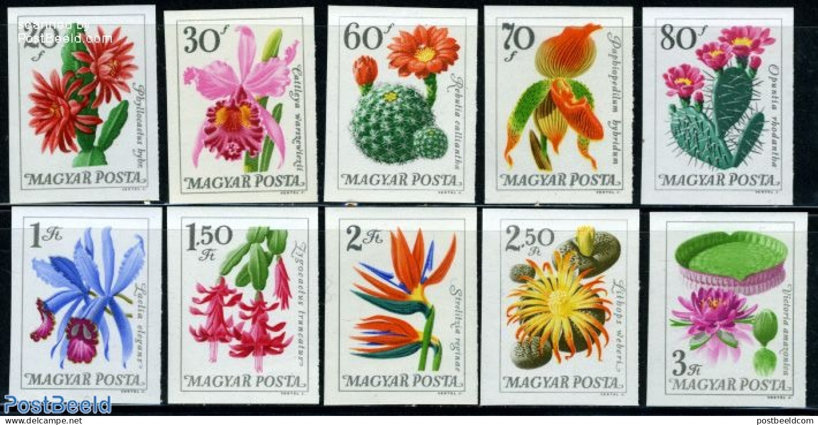 Hungary 1965 Botanic Garden Flowers 10v Imperforated, Mint NH, Nature - Cacti - Flowers & Plants - Unused Stamps