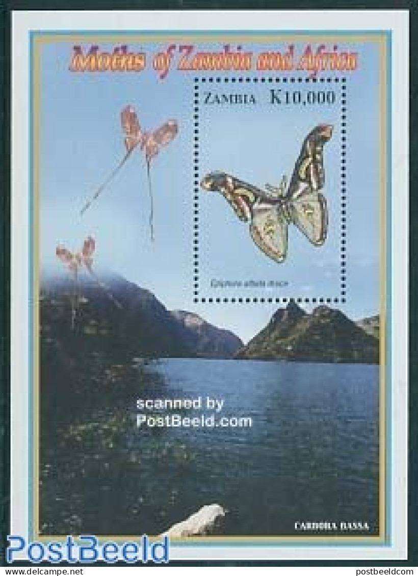 Zambia 2005 Butterflies S/s, Epiphora Albida Druce, Mint NH, Nature - Butterflies - Zambia (1965-...)