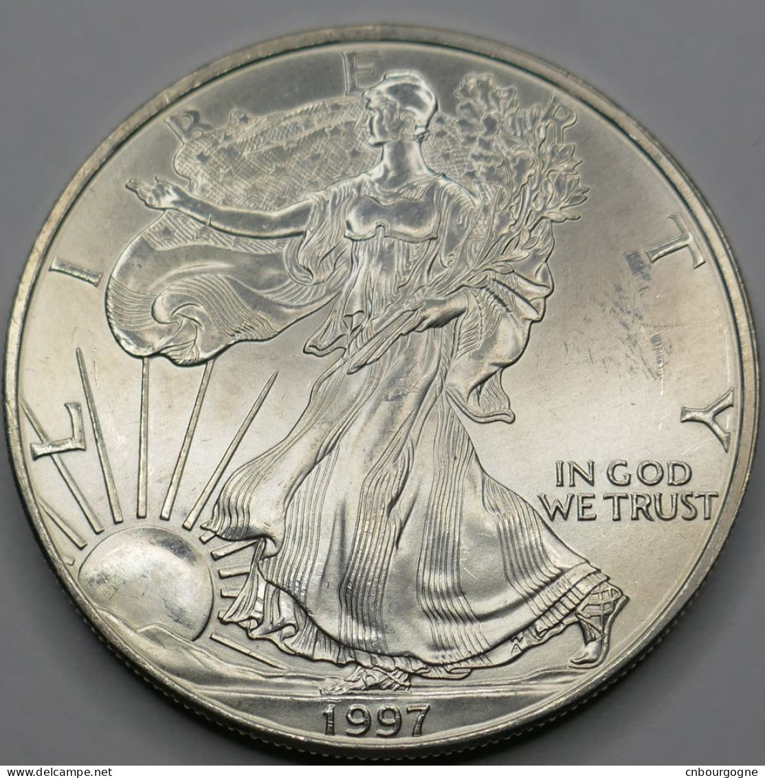 États-Unis - 1 Dollar - 1 Oz Fine Silver Liberty 1997 - AUNC - Mon5973 - Ohne Zuordnung