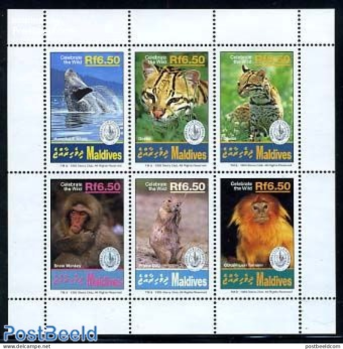 Maldives 1994 Sierra Club 6v M/s, Humpback Whale, Mint NH, Nature - Animals (others & Mixed) - Sea Mammals - Maldives (1965-...)