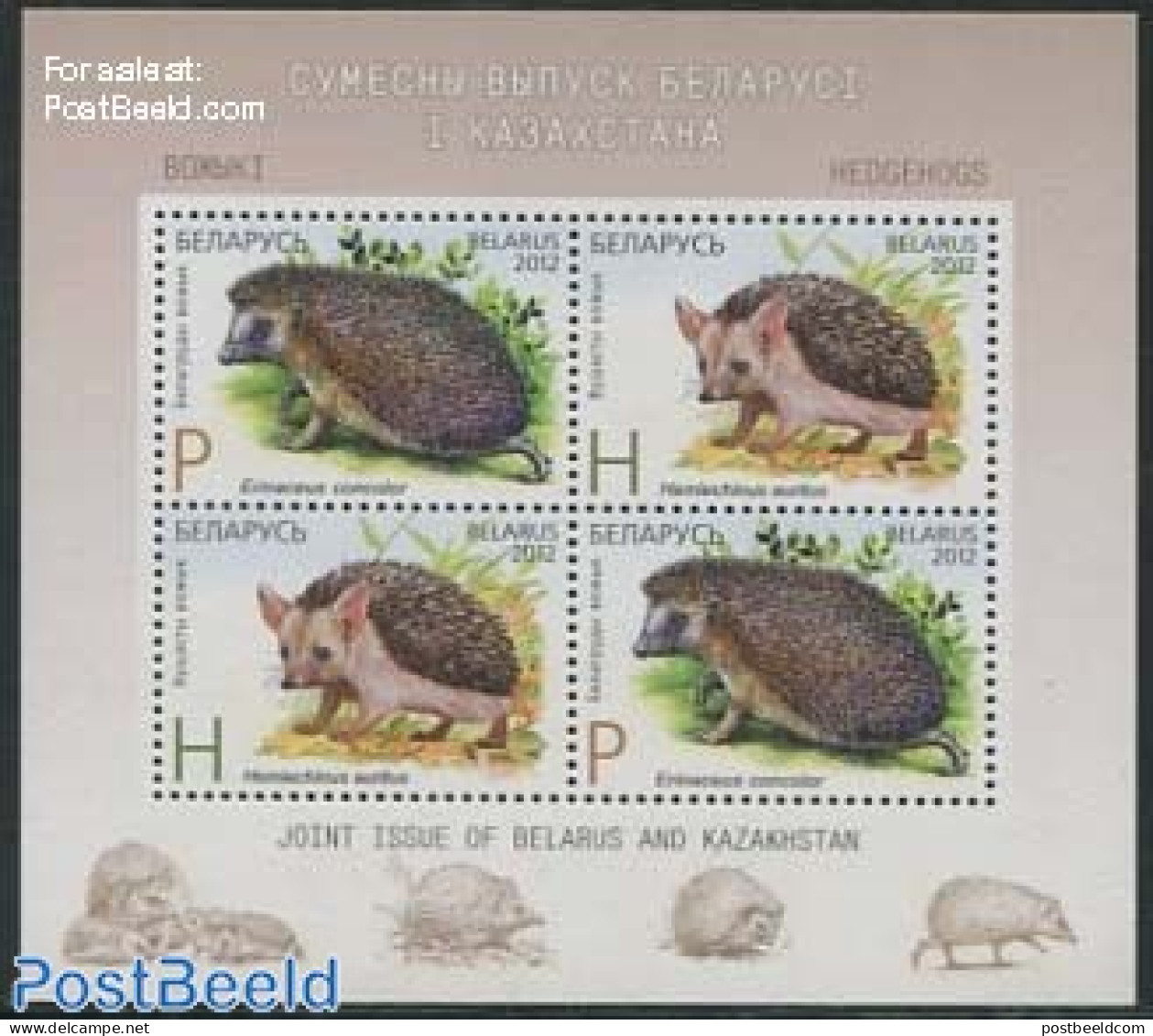 Belarus 2012 Hedgehogs S/s, Joint Issue Kazakhstan, Mint NH, Nature - Various - Animals (others & Mixed) - Hedgehog - .. - Emissions Communes