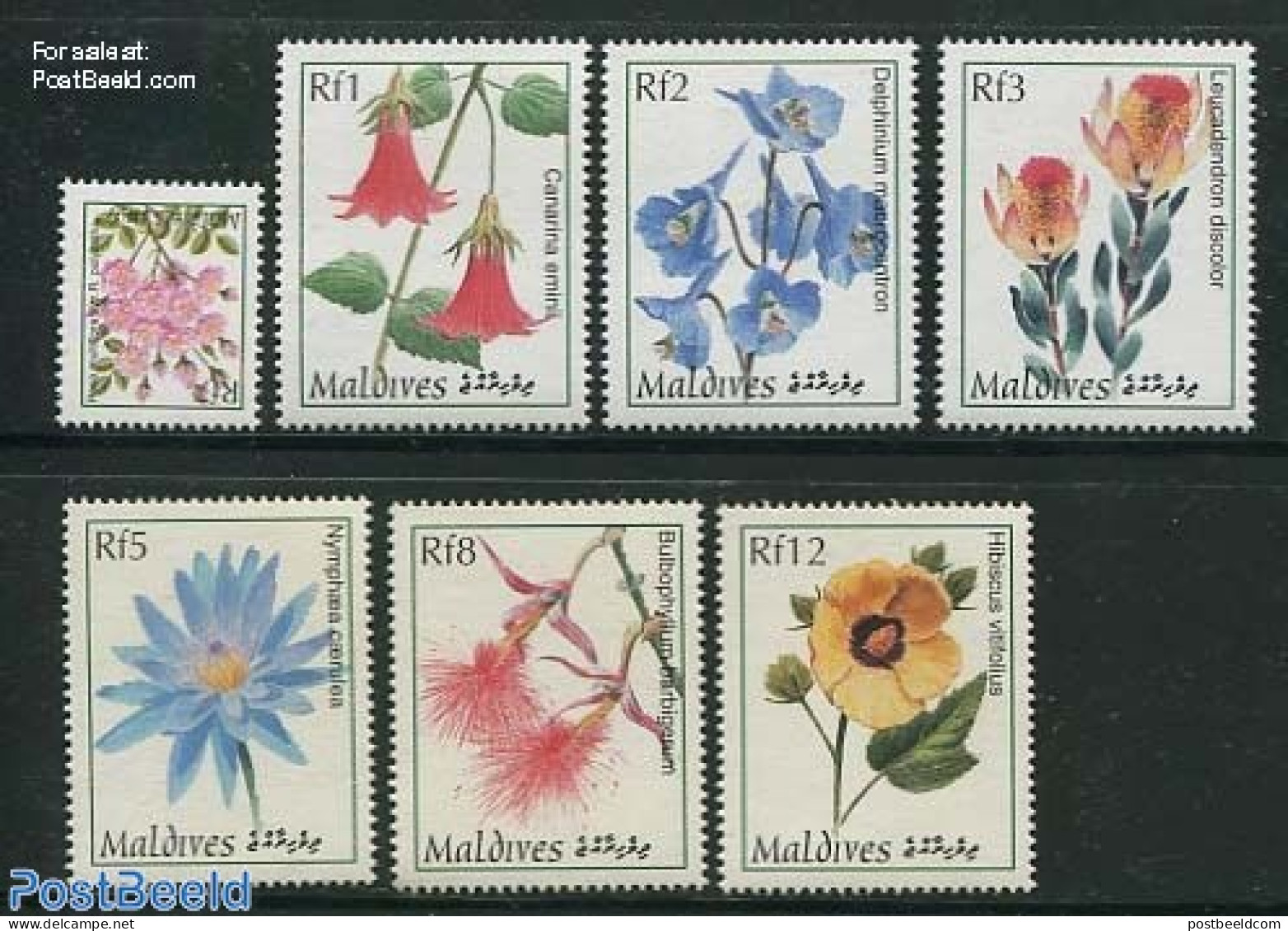 Maldives 1997 Exotic Plants 7v, Mint NH, Nature - Flowers & Plants - Maldives (1965-...)
