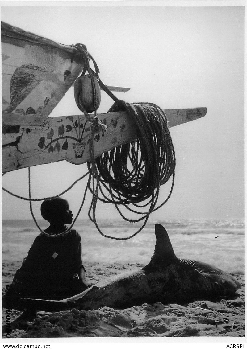 GUINEE Conakry Retour De Pêche Au Requin à SOBANE 18 Septembre 1962 Ed Larmes De Fruits Sauvages Boite Bois 1 - Frans Guinee