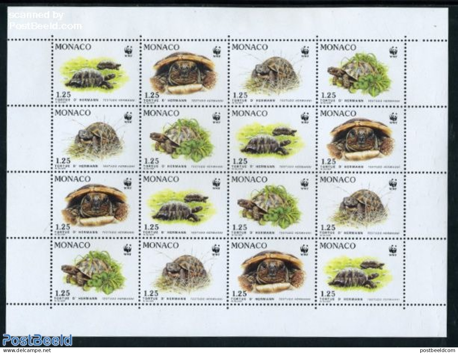 Monaco 1991 WWF, Turtles M/s, Mint NH, Nature - Reptiles - Turtles - World Wildlife Fund (WWF) - Ongebruikt