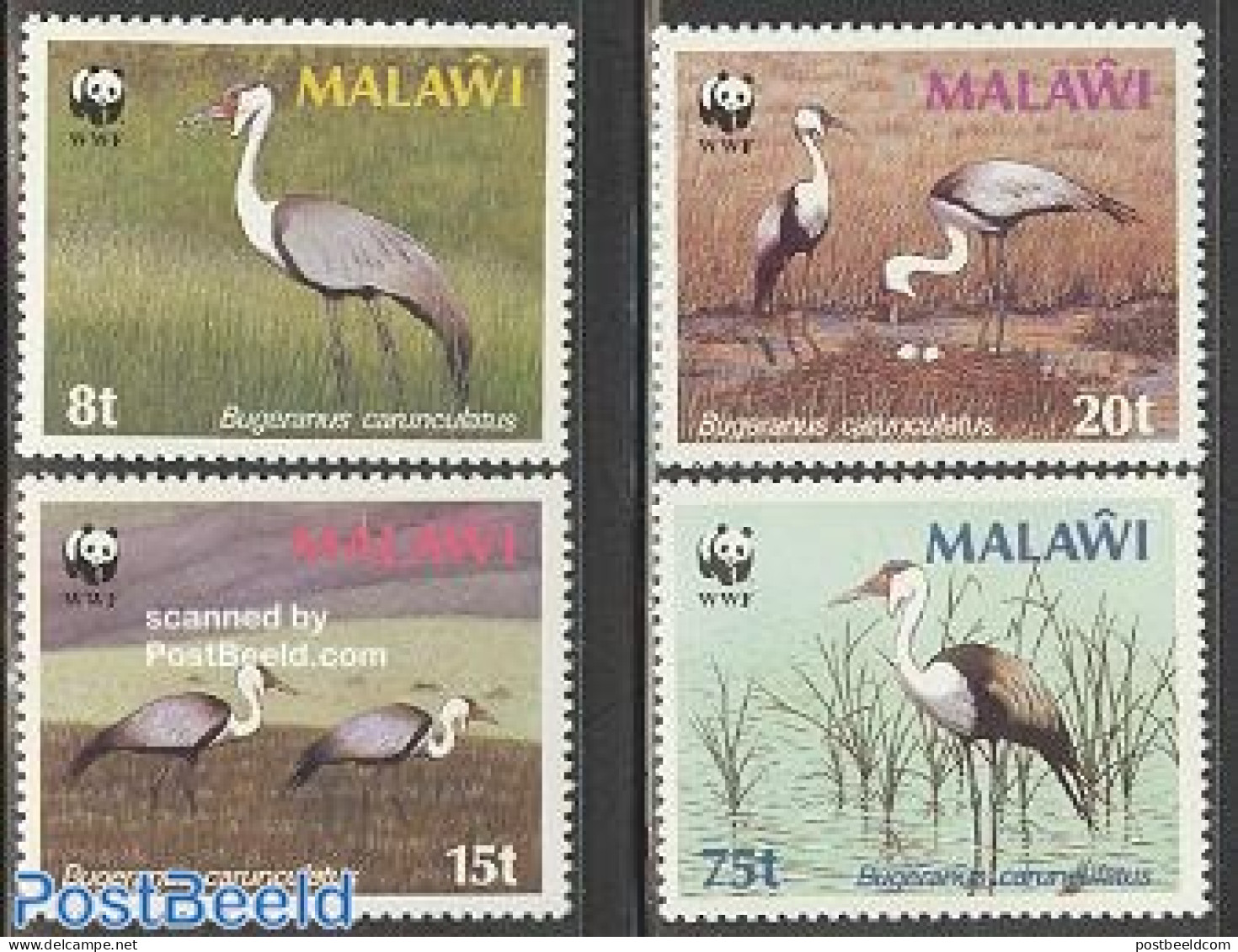 Malawi 1987 WWF, Birds 4v, Mint NH, Nature - Birds - World Wildlife Fund (WWF) - Malawi (1964-...)