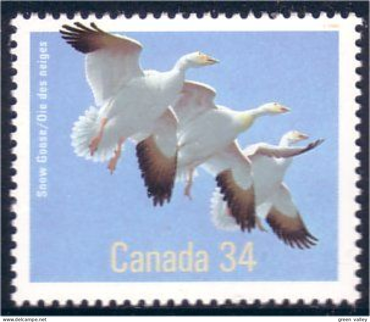 Canada Snow Goose Oies Des Neiges MNH ** Neuf SC (C10-96b) - Ganzen