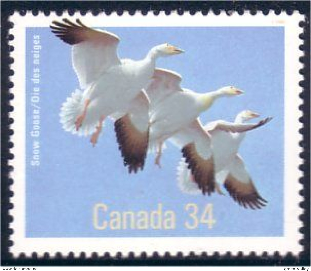 Canada Snow Goose Oies Des Neiges MNH ** Neuf SC (C10-96b) - Oies