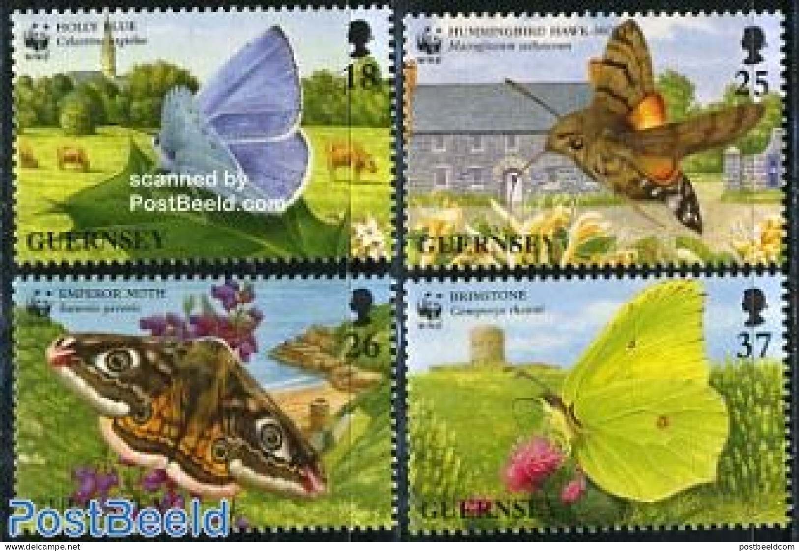Guernsey 1997 WWF, Butterflies 4v, Mint NH, Nature - Birds - Butterflies - World Wildlife Fund (WWF) - Hummingbirds - Guernsey
