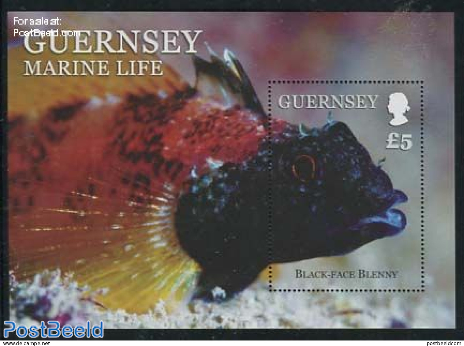 Guernsey 2013 Marine Life S/s, Mint NH, Nature - Fish - Poissons