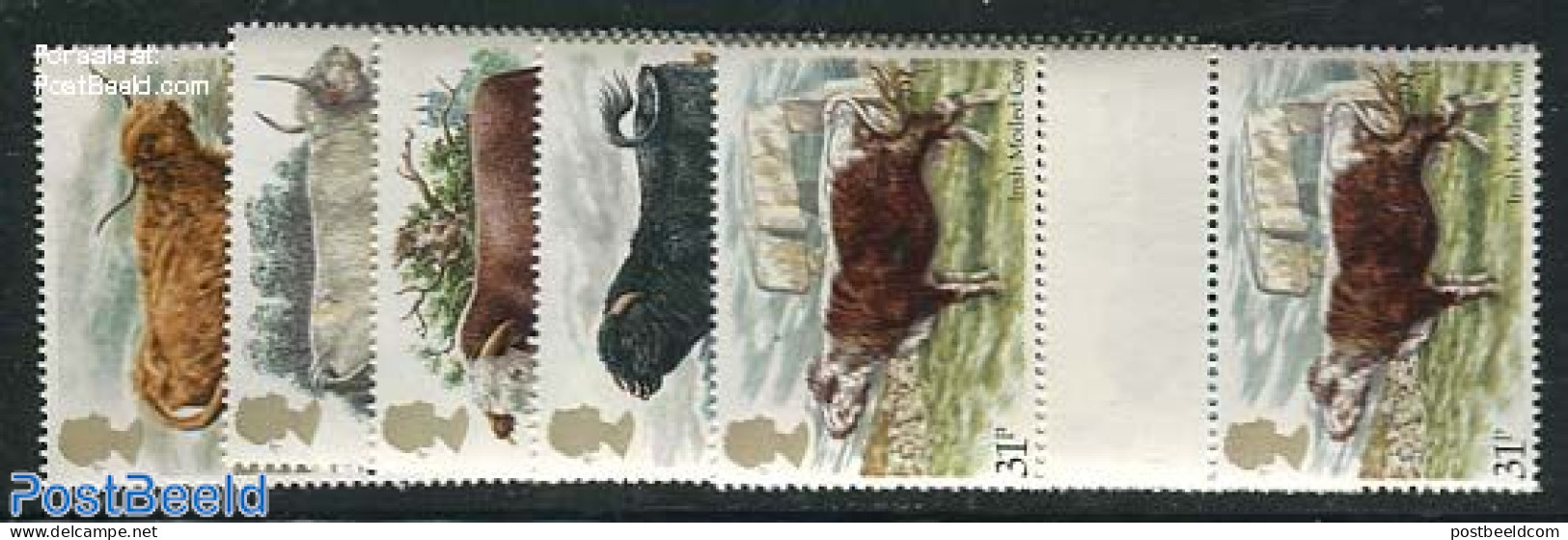 Great Britain 1984 Cattle 5v, Gutter Pairs, Mint NH, Nature - Cattle - Nuevos